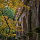 南禅寺境内にある琵琶湖疏水の水路橋の画像