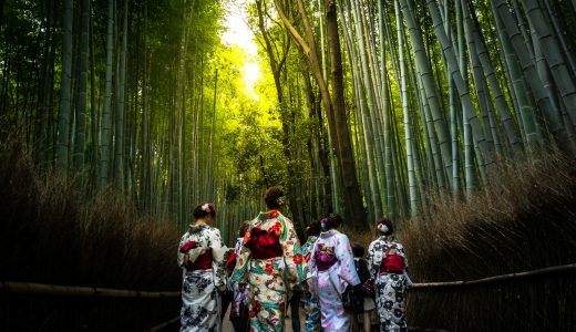 嵐山・竹林の小径を歩く、着物を着た人々の画像