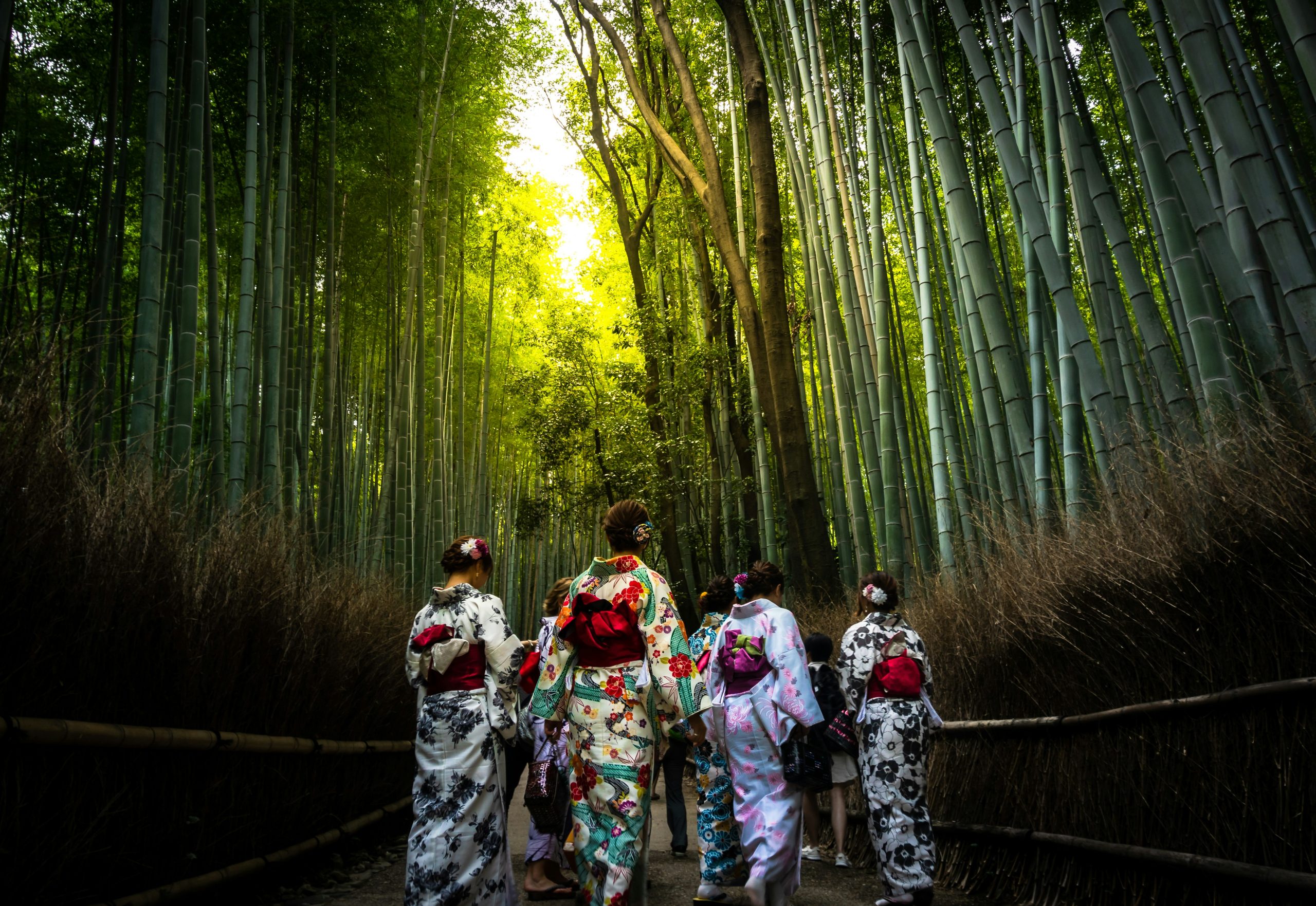嵐山・竹林の小径を歩く、着物を着た人々の画像