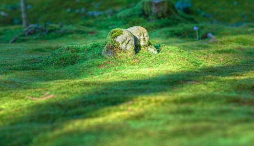 三千院の地蔵の画像