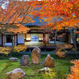 建仁寺の画像