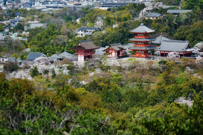 清水寺の桜