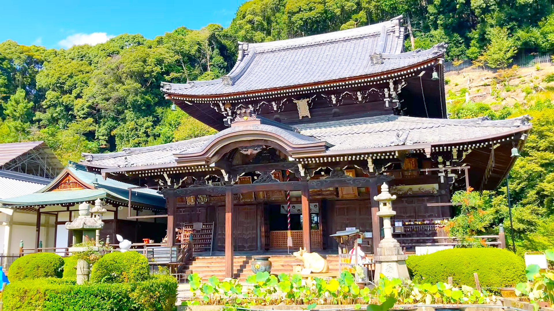 三室戸寺の画像