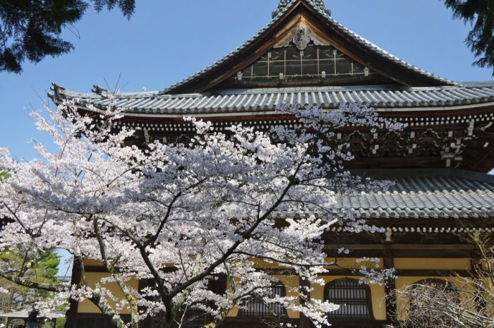 南禅寺の桜