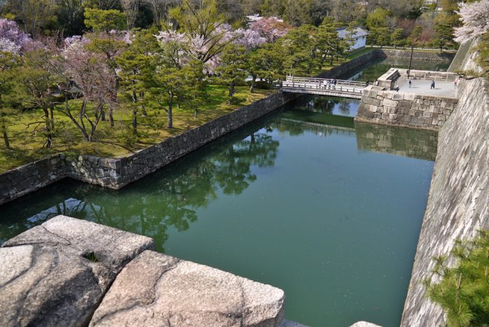 二条城の桜