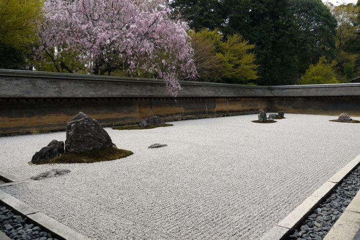 龍安寺の石庭とシダレザクラ