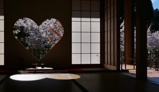 正寿院の猪の目窓から見た桜