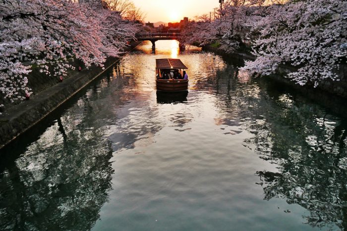 岡崎疏水の十石舟、桜と夕日