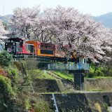 嵯峨野トロッコ列車