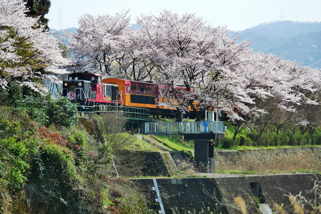 嵯峨野トロッコ列車