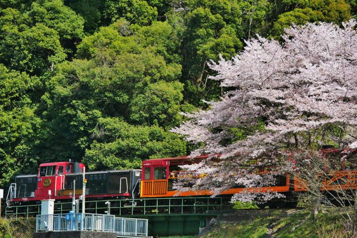 嵯峨野トロッコ列車