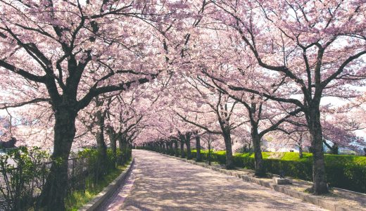 亀岡市・和らぎの道