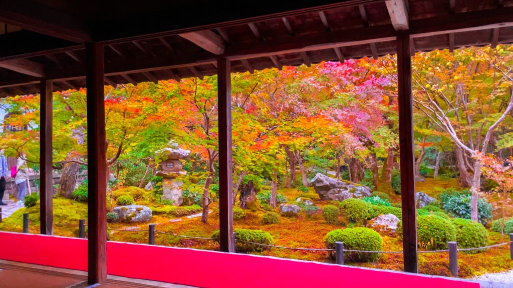 寺院の庭/Temple Garden Kokokuji Temple Garden (2025) - All You Need to Know BEFORE