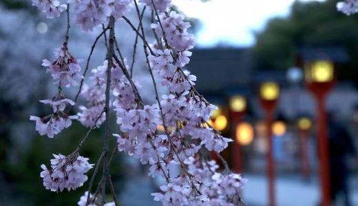 平野神社