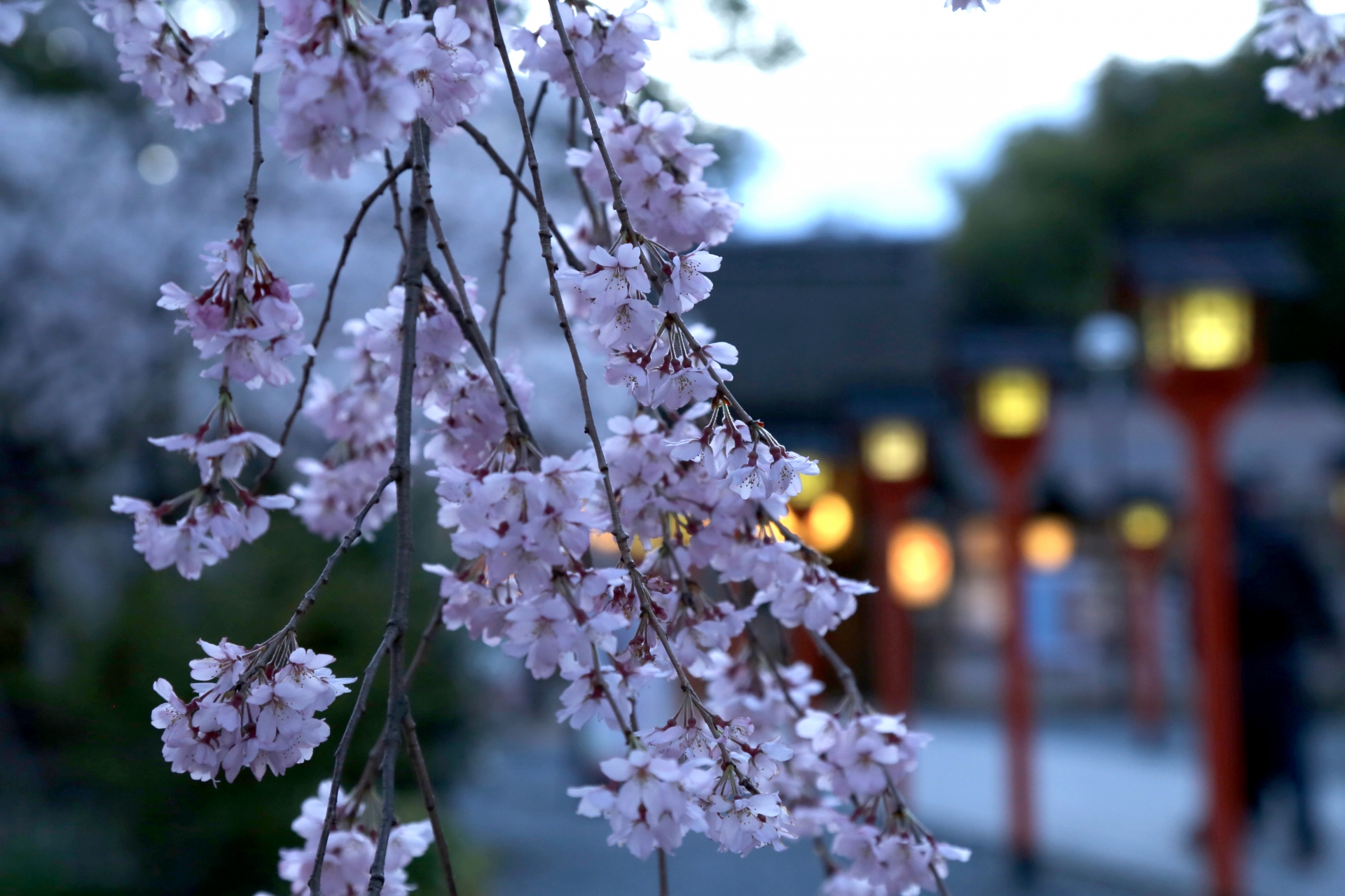 平野神社