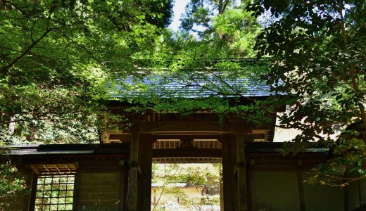 常照皇寺