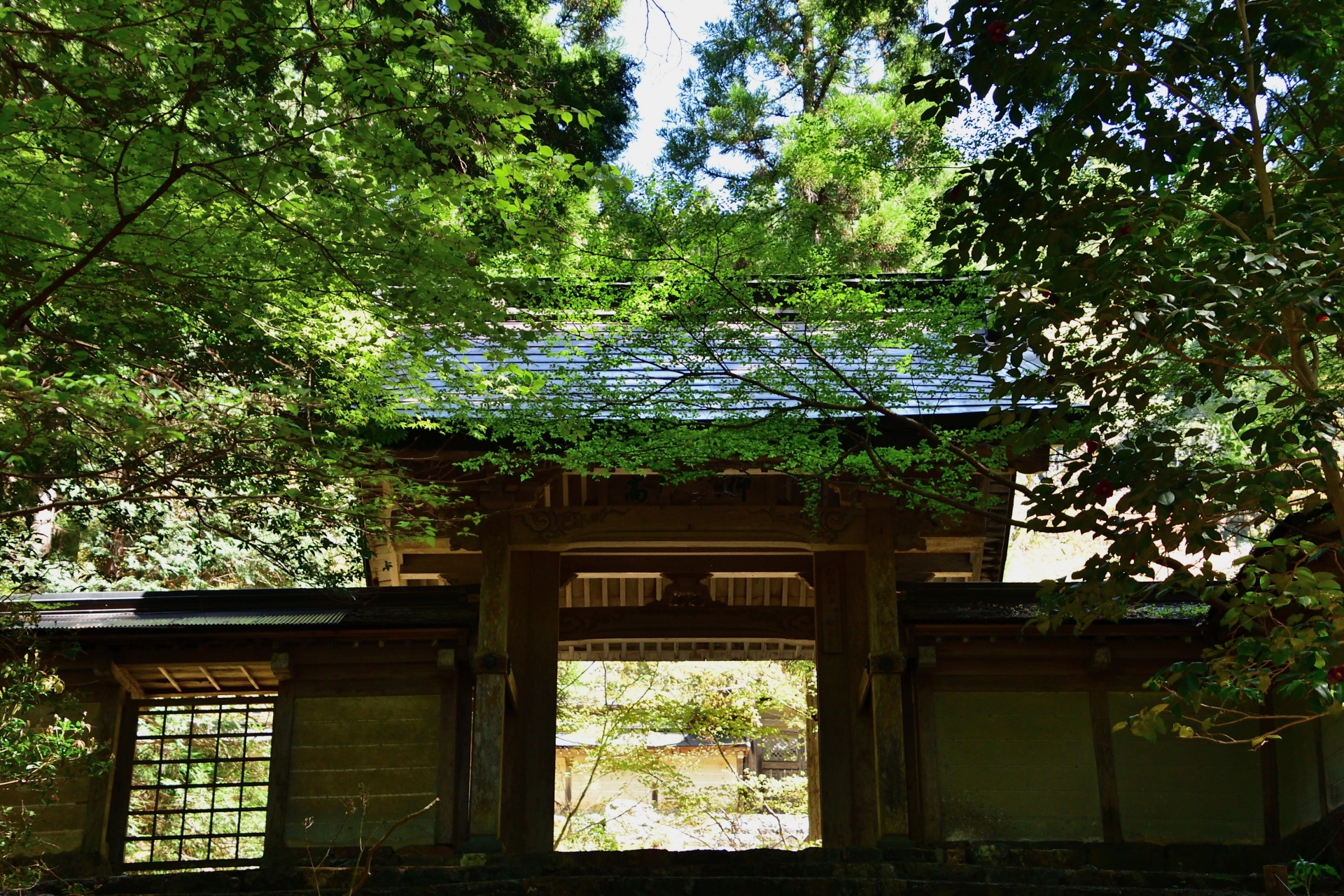 常照皇寺