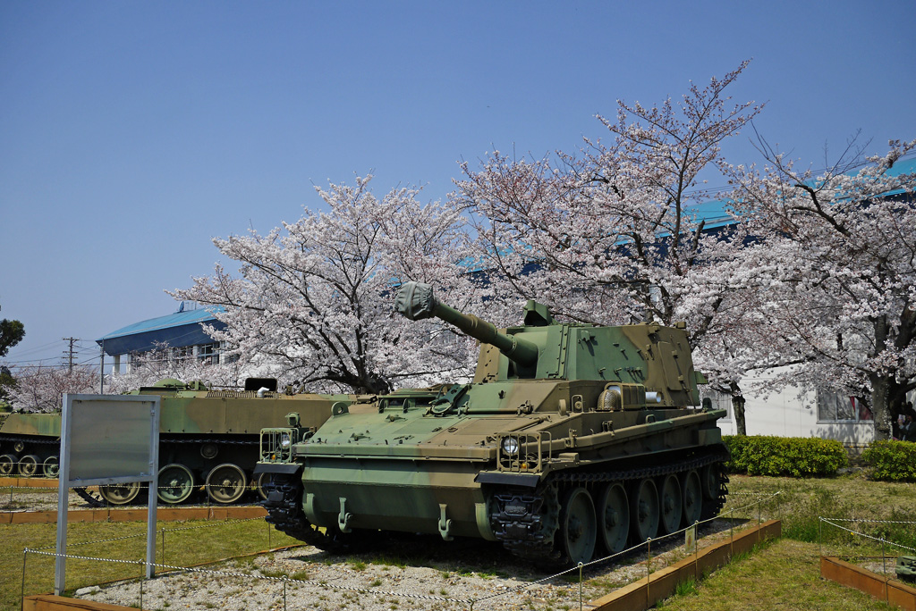 陸上自衛隊・宇治駐屯地の桜