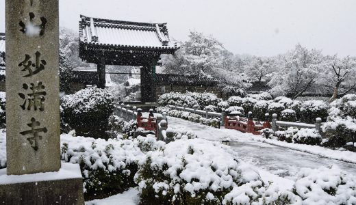 妙満寺