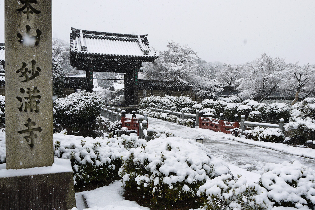 妙満寺