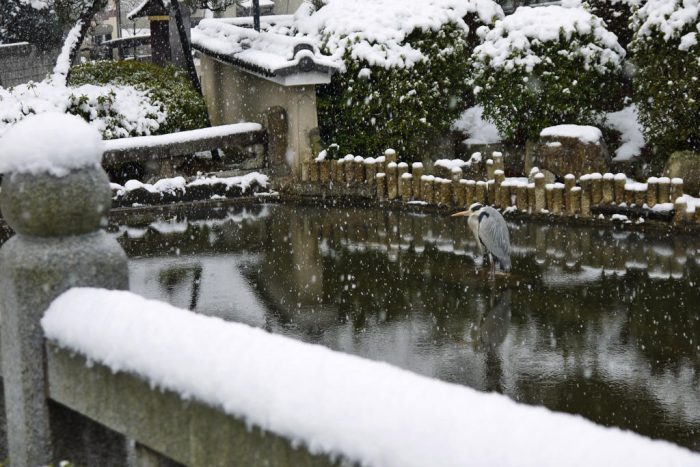 妙満寺