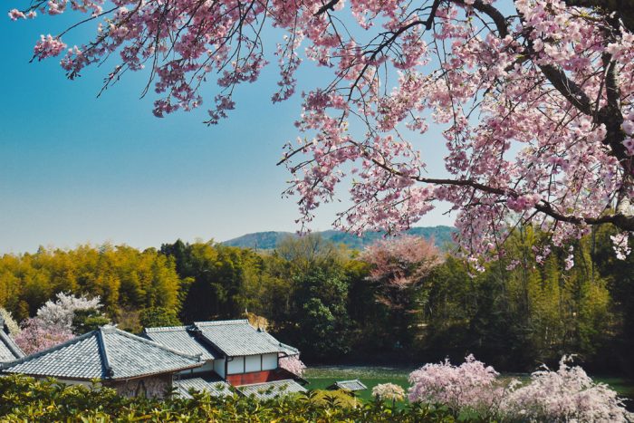 大原野・正法寺