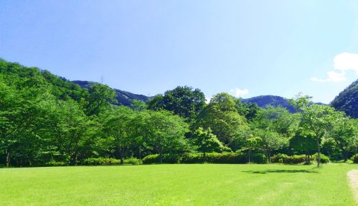 大野ダム公園