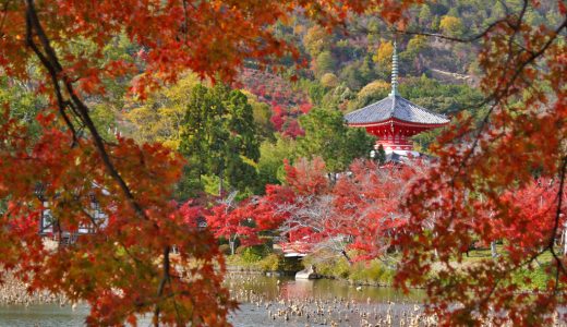 大覚寺