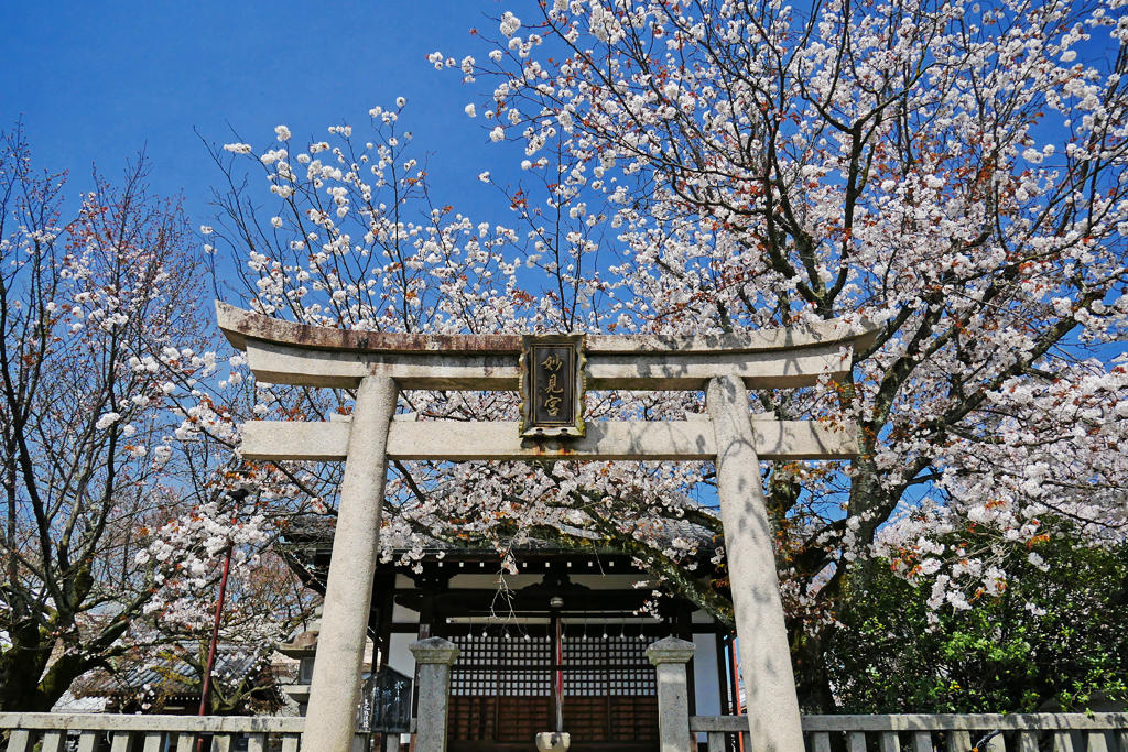 本満寺