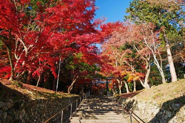 大原野神社