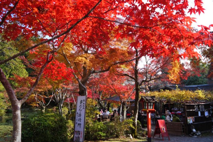 大原野神社