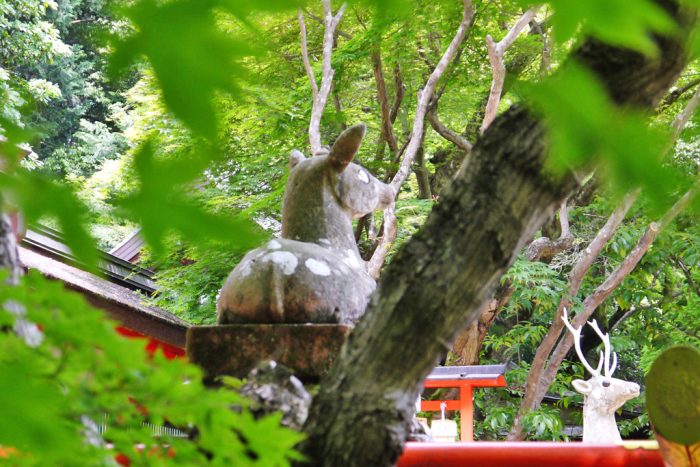 大原野神社